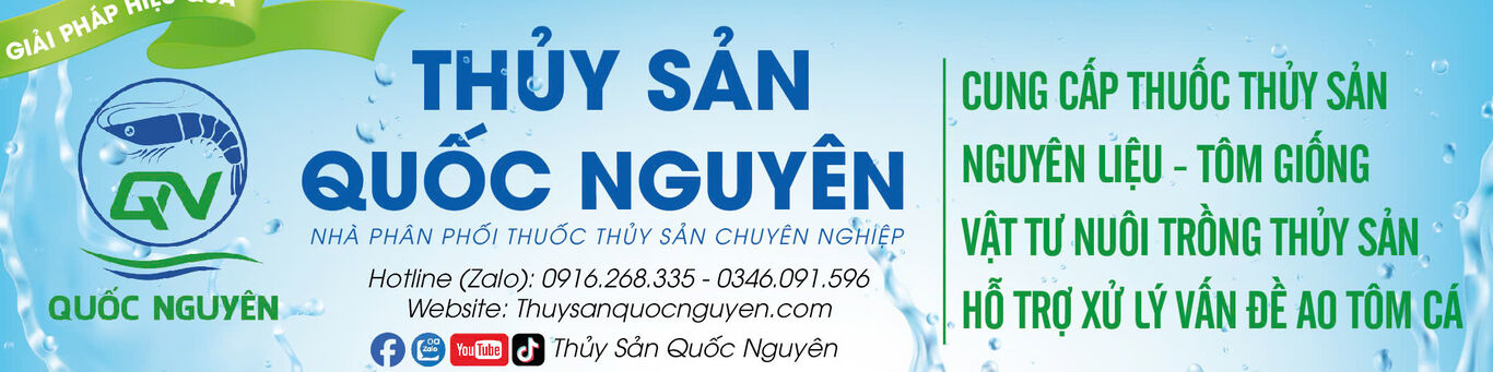company-banner