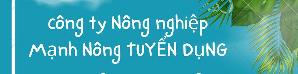 company-banner