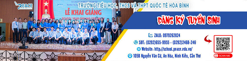 company-banner