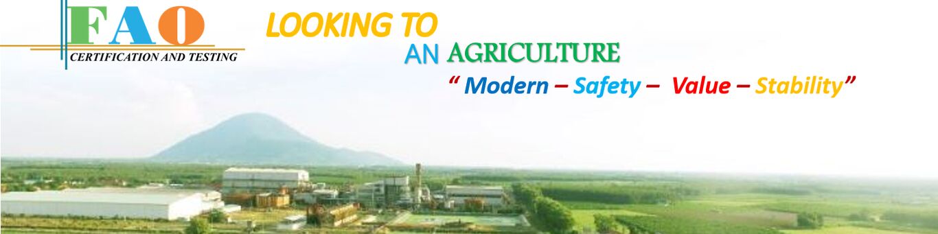 company-banner